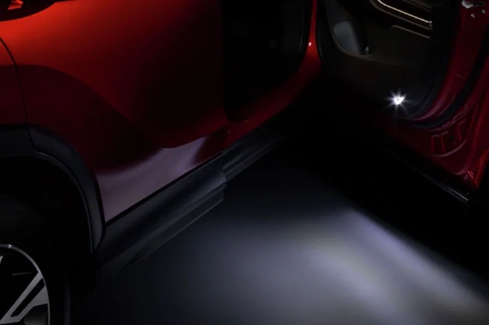 LED Welcome Illumination lights